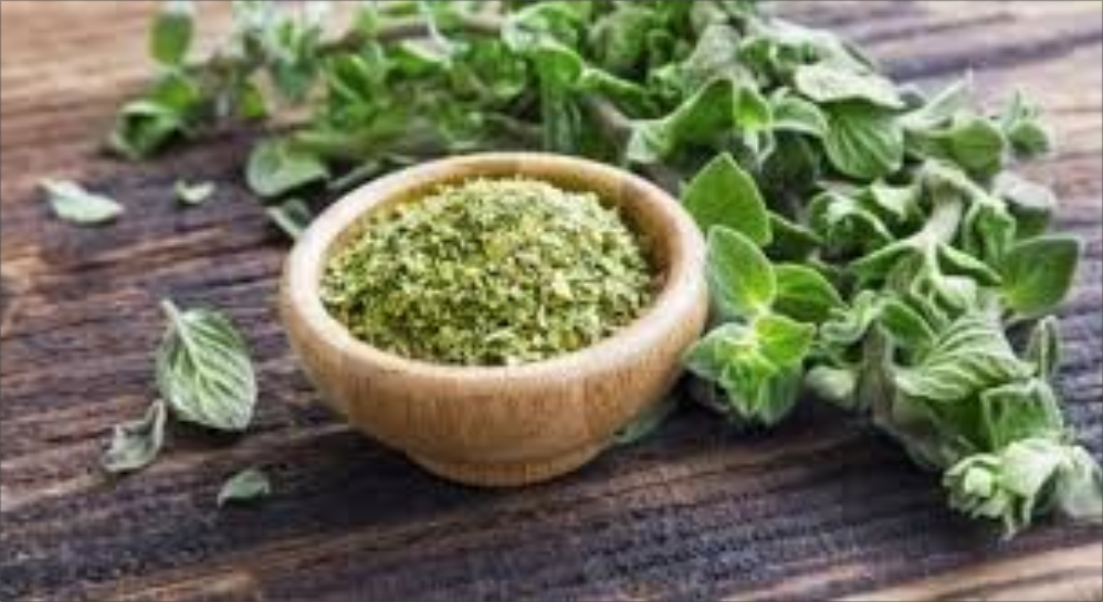 ¡Salud en tu plato!.El orégano es más que sabor: es una potente planta medicinal. Es antioxidante, antimicrobiano (carvacrol/timol) y digestivo (reduce gases)